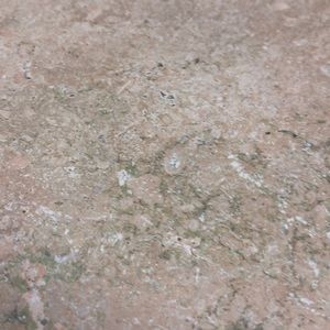 Meet your Posher, Ciera